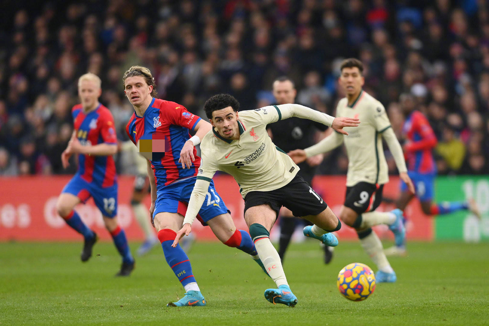 尔多曾赴亚 尔多曾赴亚